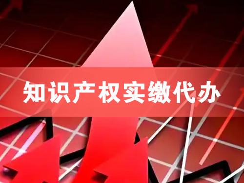 桂林知识产权实缴资本代办